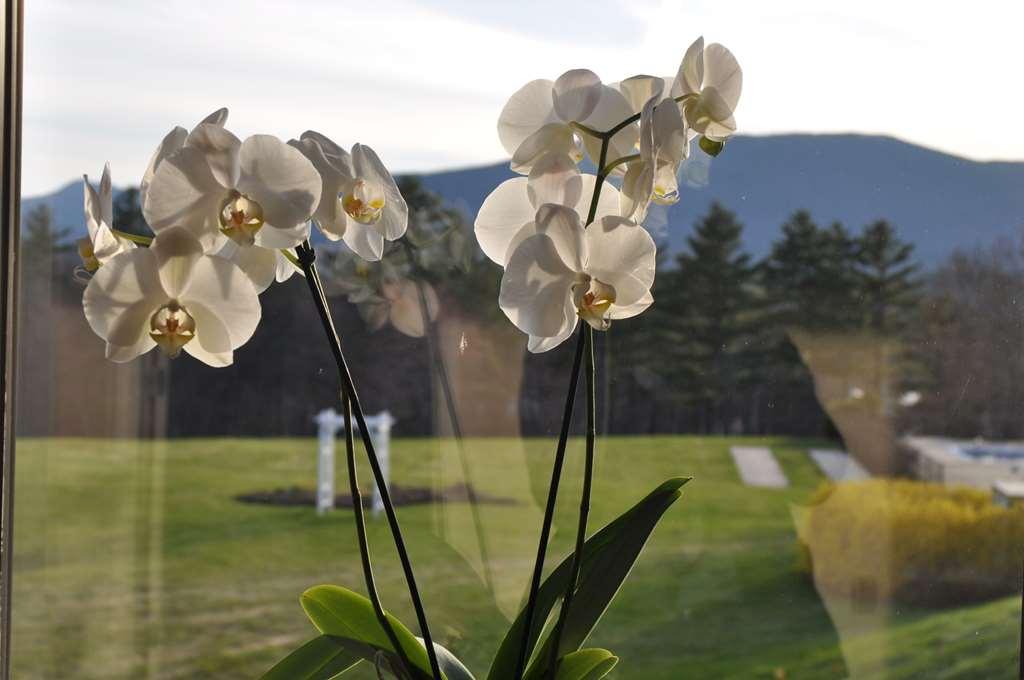 Fox Ridge Resort North Conway Eksteriør bilde
